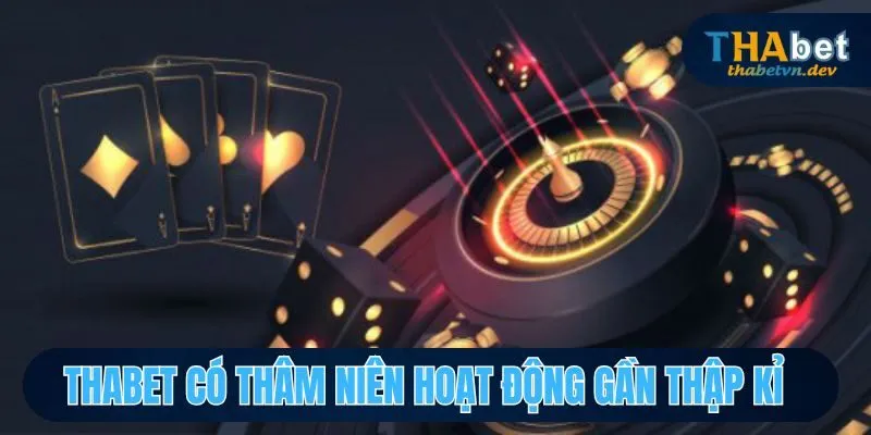 THABET có thâm niên hoạt động gần thập kỉ